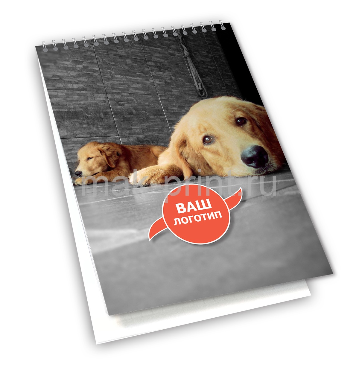 ������� BL-017 -  ������ ���������� Mak �����